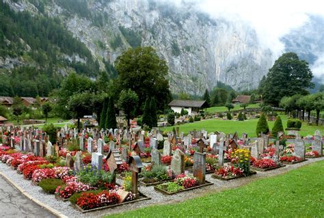 What Is The Reason Behind Placing Flowers On Graves? - Procaffenation