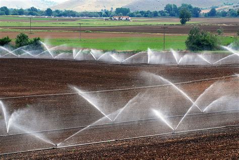 How Can Agriculture Improve Water Quality Alive Water Blog