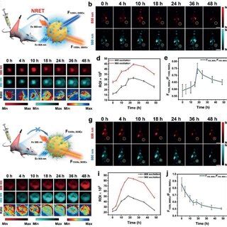 Nirii Fl Imaging Of Mcf Cells After Incubation With A Dcnp Nphpeg