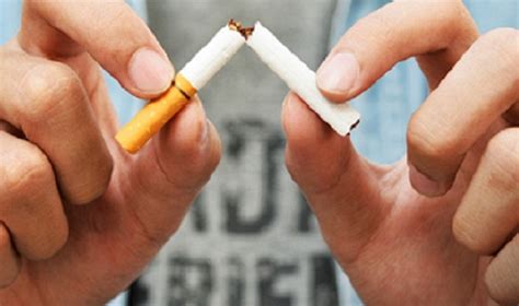 Perbedaan Cukai Dan Pajak Rokok 2 Konsep Yang Sering Dianggap Sama