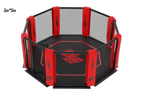 Mma Cage On Floor High Range Dragonsportseu