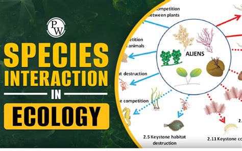 Species Interaction In Ecology Predation Mutualism Parasitism