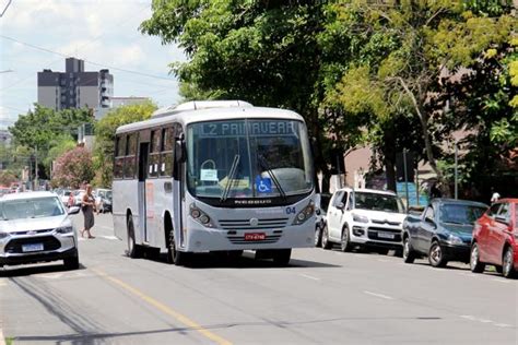 Prefeitura De Esteio Lança Consulta Pública Para Avaliar E Colher