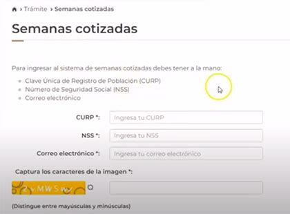 Historial laboral IMSS y semanas cotizadas NSS México