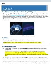 Lab Bacterial Transformation Docx Name Lab Lab Bacterial