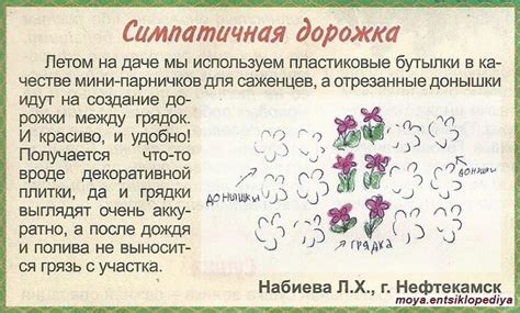 Идея для дачи. Дорожка между грядок из донышек пластиковых бутылок