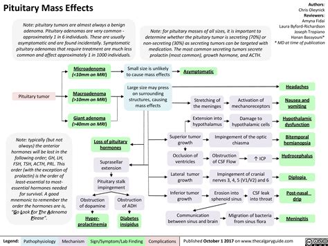 Pituitary Mass Effects | Calgary Guide