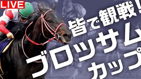 地方競馬 皆で観戦！ ブロッサムカップ とイラスト予想コーナー【 門別】地方競馬ライブ ホッカイドウ競馬 Youtube