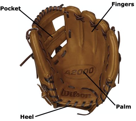 Difference Between Baseball And Softball First Base Glove - Images ...