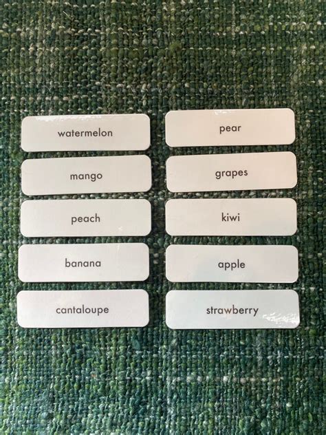 Fruit 3 Part Montessori Language Cards Etsy