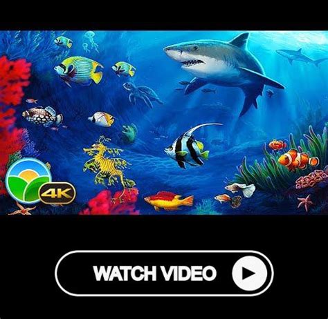 The Best 4K Aquarium for Relaxation Sleep Relax Meditation Music - 2 ...