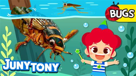 Aquatic Bugs Cutie Crawly Friends 🐛bug Song Insect Songs For