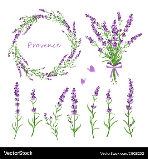 Set of lavender flowers Royalty Free Vector Image