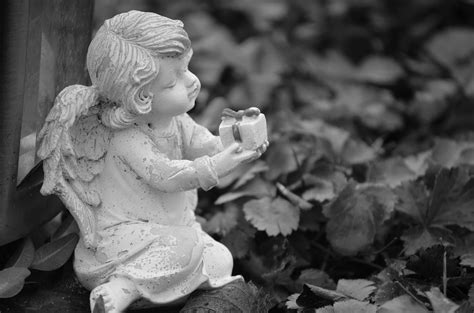 Angel Falls Photos, Download The BEST Free Angel Falls Stock Photos & HD Images