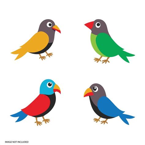 Premium Vector Set Of Cute Colorful Birds