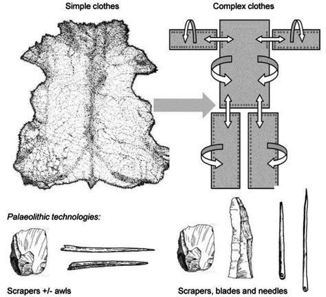 Simple and complex clothing and the associated Paleolithic technologies ...