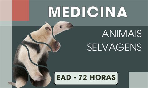 Medicina De Animais Selvagens CURSOS VET BR