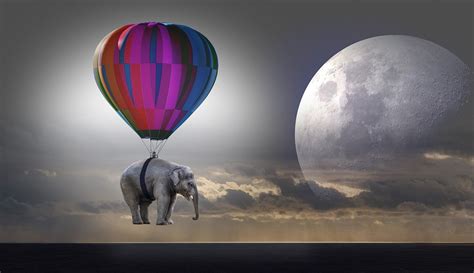 Elephant Weightless Balloon Hot Free Photo On Pixabay Pixabay