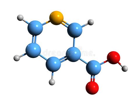 3D Image of Nicotinic Acid Skeletal Formula Stock Illustration - Illustration of derivative ...