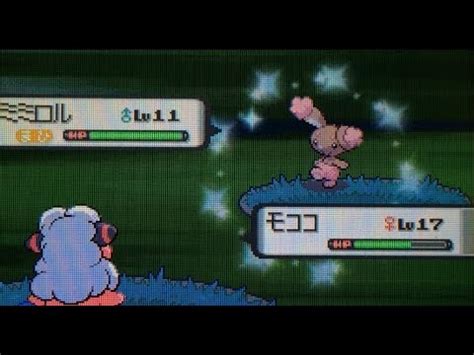 LIVE Shiny Buneary In Pearl After 10 830 Seen Phase 1 YouTube