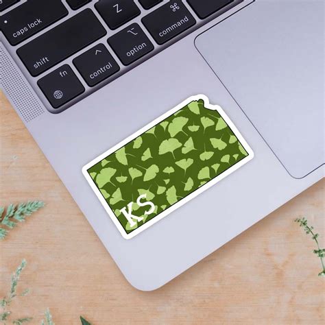 Kansas Stickers – Big Moods