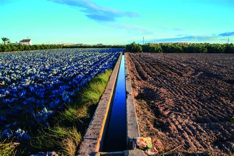 Experto Aboga Por Ajustar El Uso Del Agua En La Agricultura Andaluza