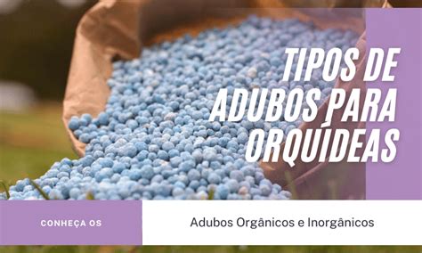 Adubos Para Orquídeas Quais os Melhores Como Adubar