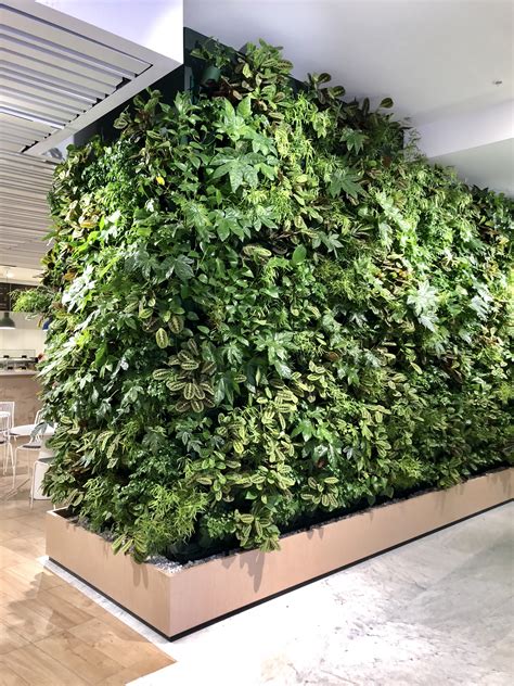 Фитостена с автополивом в студии флористики «Фреш», купить фитостену с ...