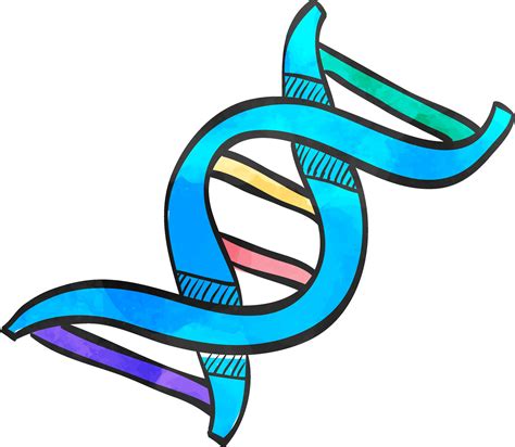 DNA strands icon in color drawing. Science biology body chromosome stairs 39357753 Vector Art at ...