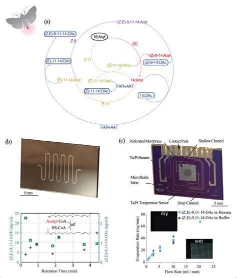 Infochemical Synthesis And Release Technologies A Biosynthetic