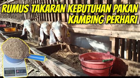 RUMUS TAKARAN KEBUTUHAN PAKAN KAMBING PERHARI UNTUK HIJAUAN MAUPUN