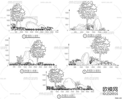 景观石植物立面cad施工图 免费3dmax模型库 欧模网