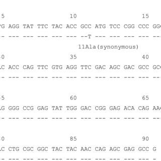 Alignment Of The Nucleotide Sequence Of Exon Of The Novel B