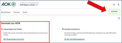 Informationen Zum AOK Gesundheits Partner Portal In Leichter Sprache