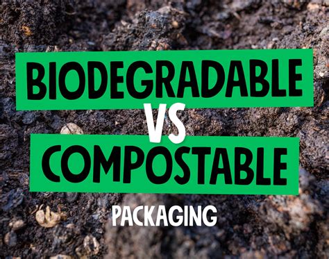 Biodegradable vs compostable packaging - Reuseabox