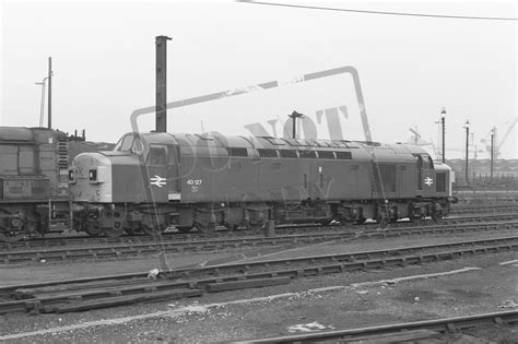 British Railway Photographs Class 40 Mono Ttp40127 Birkenhead Depot 18 2 78 Cjm