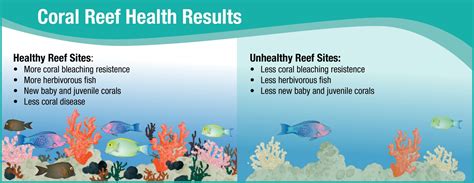 Coral Resilience Infographic Fnl Aqua Noaa Habitat Blueprint