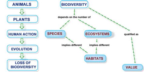 Biodiversity General Geog 30 Our Perspectives