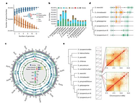 Nature Genetic 番茄超级泛基因组的多样性和结构变异 知乎