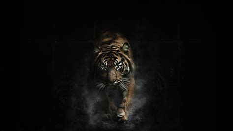 🔥 [40+] 1920X1080 Tiger Wallpapers Full HD | WallpaperSafari