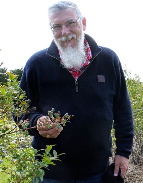 Work aplenty for blueberry pickers | Otago Daily Times Online News