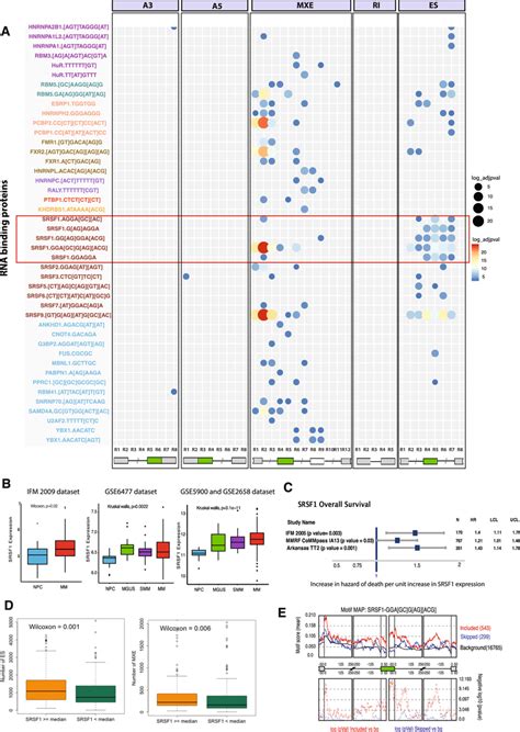 As Is Controlled By Splicing Factors Sfs A Sf Motifs Significantly