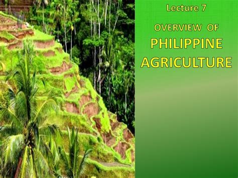 Philippine Agriculture