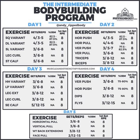 Bodybuilding Excel Templates You Are In The Right Place At The Right