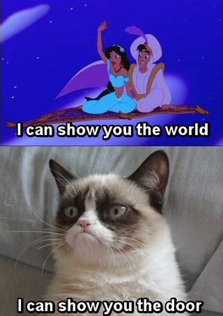 grumpy cat  disney princesses       internet funny