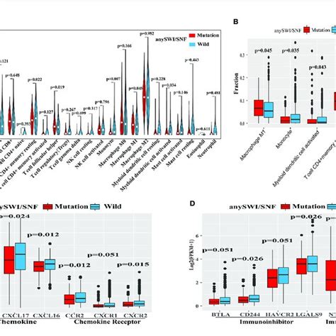 | Human switch/sucrose nonfermentable (SWI/SNF) complex mutations were ...