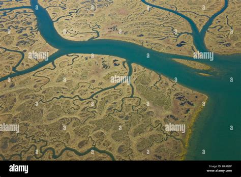 Aerial view of river tributaries, saltmarsh and coast, Odiel, Costa de ...