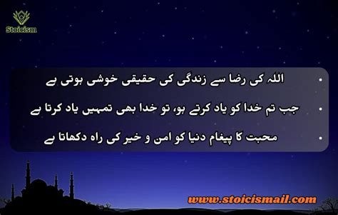 20 Islamic Quotes In Urdu Stoicismail