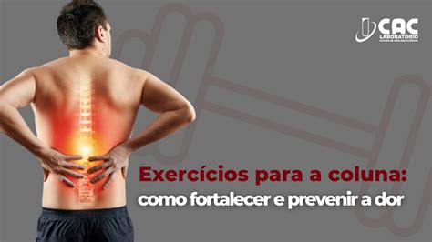 Exerc Cios Para A Coluna Como Fortalecer E Prevenir A Dor