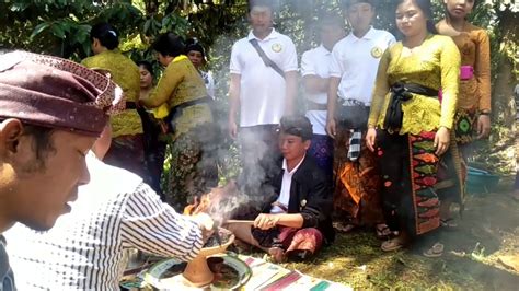 Ngaben Massal Di Br Belanban Desa Pekraman Petiga Kec Marga Tabanan